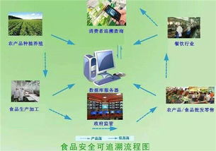 剖析物聯(lián)網能使一人養(yǎng)一萬頭豬 是真需求還是偽痛點的車聯(lián)網科技思考